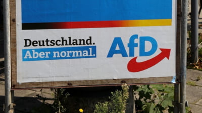 Al doilea cel mai mare partid din Germania, catalogat oficial drept „organizație extremistă”. Formațiunea crește puternic în sondaje
