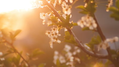 Cum va fi vremea astăzi, 4 mai. Temperaturi ridicate în ziua alegerilor prezidențiale. Unde ar putea apărea ploile