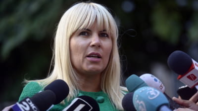 Elena Udrea cere o nouă reducere a pedepsei care i-a mai rămas de executat. Câte zile mai vrea fostul ministru al Turismului să-i fie scăzute