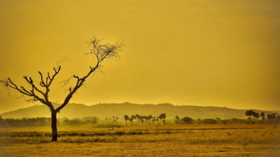 Europa poate să fie lovită de o adevărată catastrofă climatică. Mai multe țări se tem că ar putea rămâne fără apă
