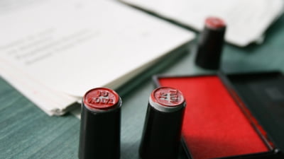 Explicațiile AEP despre „milioanele de morți cu drept de vot” invocate de AUR - Procedura de eliminare din registru