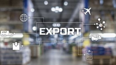 Exporturile extracomunitare ale României, realizate în euro în pondere mai mare decât media europeană