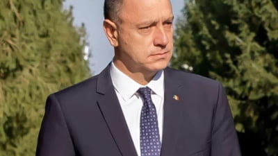 Fost ministru PSD, iritat că partidul e ”vinovatul de serviciu”: ”Poate că ar fi cazul să-i lăsăm pe cei cu 'plăcuţa suedeză' să guverneze singuri”