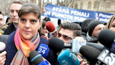 Fraudă cu fonduri europene investigată de Parchetul European condus de Laura Kovesi. Sute de percheziții la crescătorii de albine