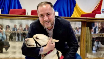 Liderul important din PSD care tocmai a fost la vot: „Pentru asta am votat!"