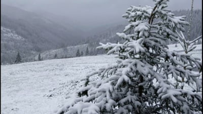 Ninsori în România, în prag de vară. Strat de zăpadă de câțiva centimetri în mai multe zone FOTO