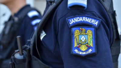 O femeie a sunat în toiul nopții la 112, după ce s-a trezit cu un musafir înaripat în apartament. Jandarmii au intervenit de urgență