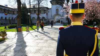 PSD, PNL, USR și UDMR s-au pus de acord după discuțiile cu președintele Nicușor Dan. Fac planul pentru rezolvarea unei probleme naționale