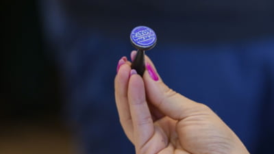 Președintele și vicepreședintele AEP s-au întâlnit cu observatorii internaționali. Trebuie evitat riscul ca noile tehnologii "să influențeze opțiunile electorale"