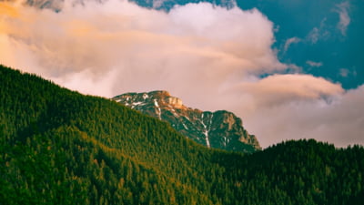 Prezență de 180% într-una dintre cele mai apreciate stațiuni din România. Câți turiști au votat în turul 2 al alegerilor prezidențiale