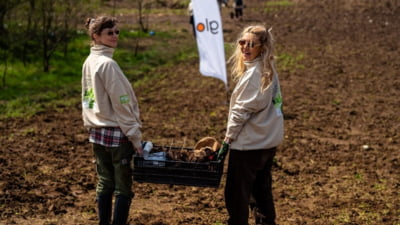 Promisiunea glo prinde rădăcini cu fiecare copac plantat! Peste 23.000 de copaci plantați în județele Buzău și Călărași, în cadrul campaniei ”Reciclăm & Plantăm Împreună!”