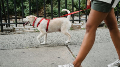 Trucul care vă poate proteja sănătatea pentru deceniile următoare. „Nu trebuie să alergi o oră și să transpiri copios”