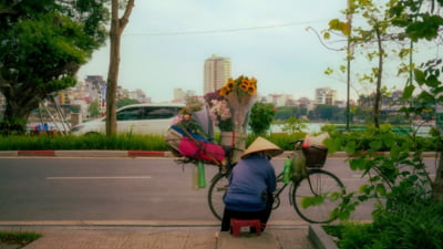 Vietnam se reorganizează radical. Dă afară 80.000 de bugetari și o introduce o împărțire administrativă a țării complet nouă