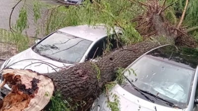 Vremea rea a făcut ravagii în zonele afectate de furtuni. Zeci de apeluri la 112. O persoană a fost lovită de fulger FOTO